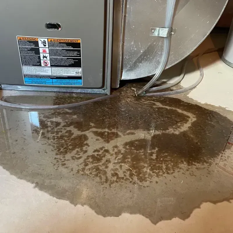 Appliance Leak Cleanup in Jessup, PA